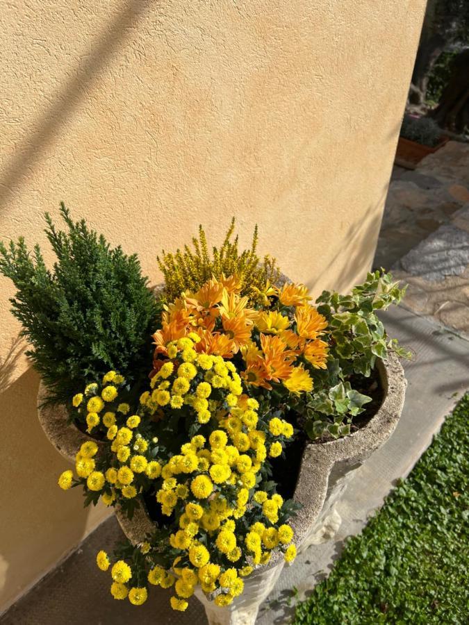 Agriturismo Le Merline Arnasco Buitenkant foto